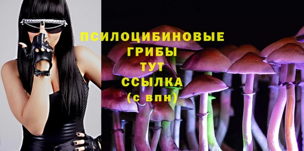 ECSTASY Михайловка