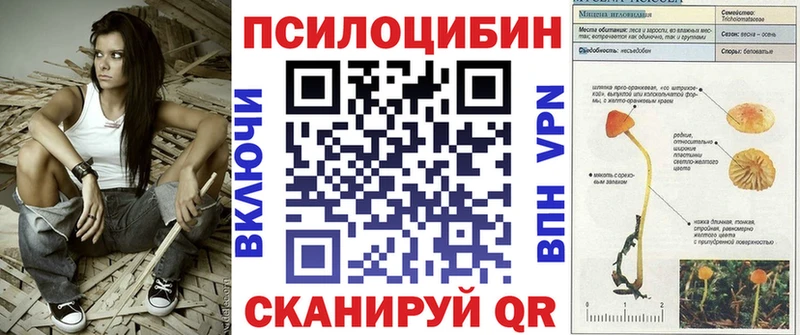 Галлюциногенные грибы Cubensis  Новый Уренгой 
