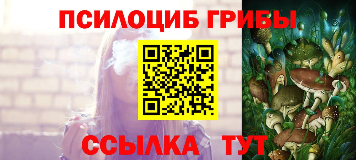 Псилоцибиновые грибы GOLDEN TEACHER  Псилоцибиновые грибы прущие грибы  Вход с VPN  Новый Уренгой 