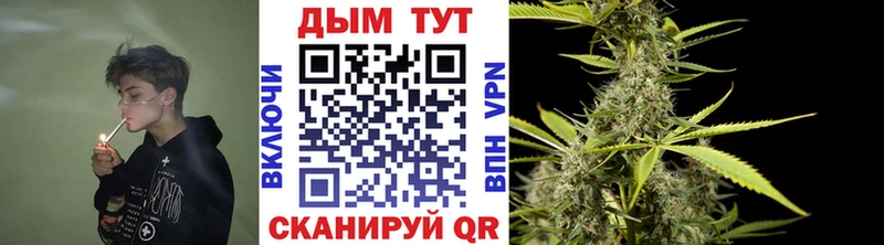 Бошки Шишки White Widow  закладка  МЕГА tor  Новый Уренгой 